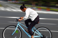 パレスサイクリング