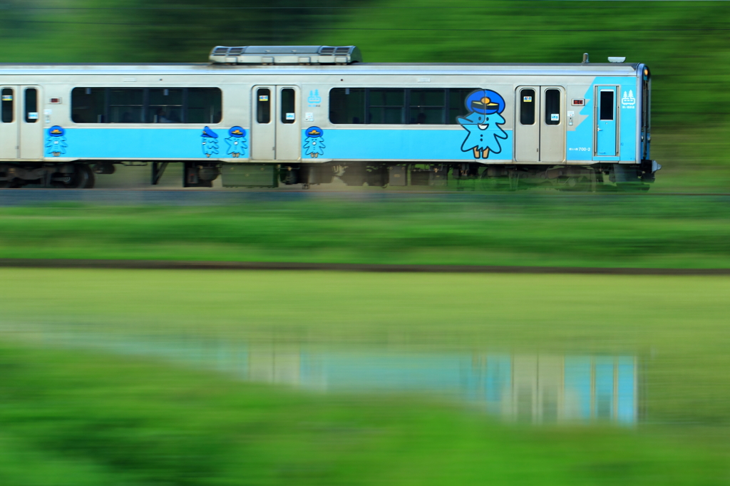 Spring Train XVIII