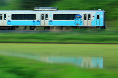 Spring Train XVIII