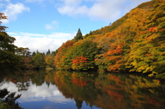 名無しの溜め池・その後 名無しの溜め池・その後