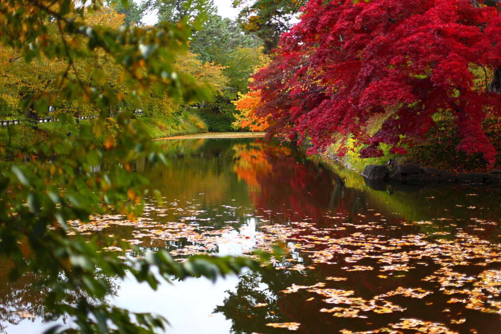 秋の弘前公園 04
