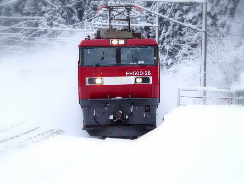 雪国列車 X