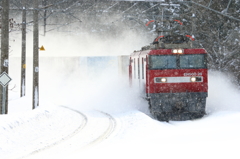 雪降るなか・・・ III