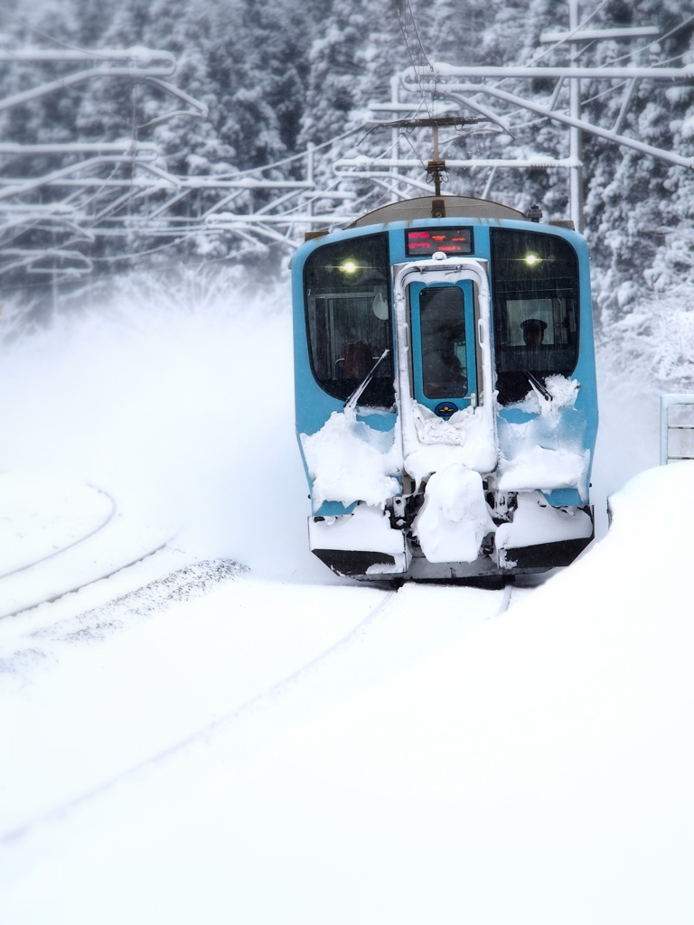 雪国列車 VIII