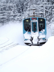 雪国列車 VIII