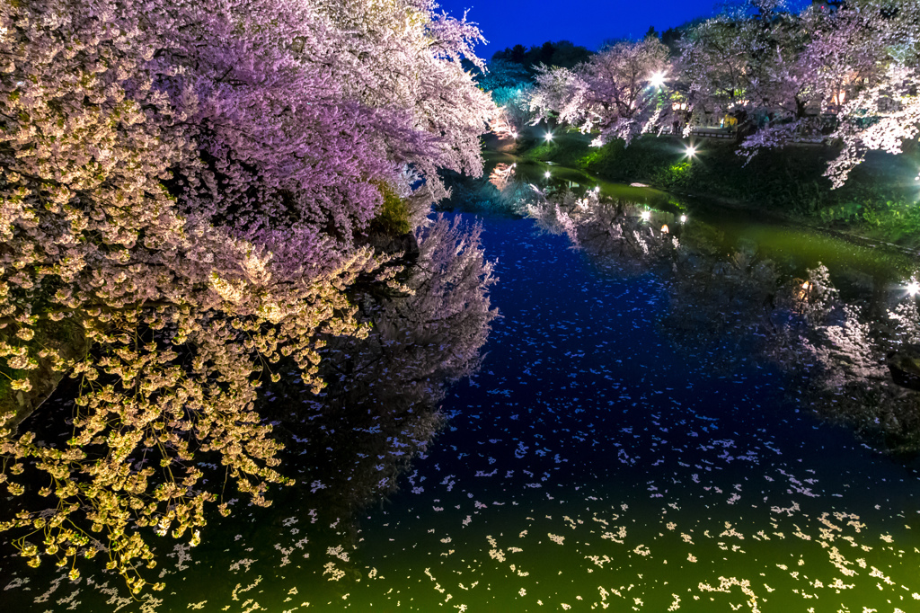 花びらの化粧をしたお濠