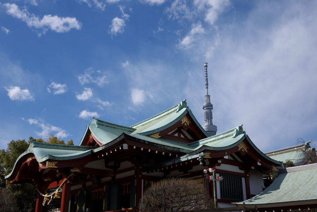 亀戸天神からのスカイツリー