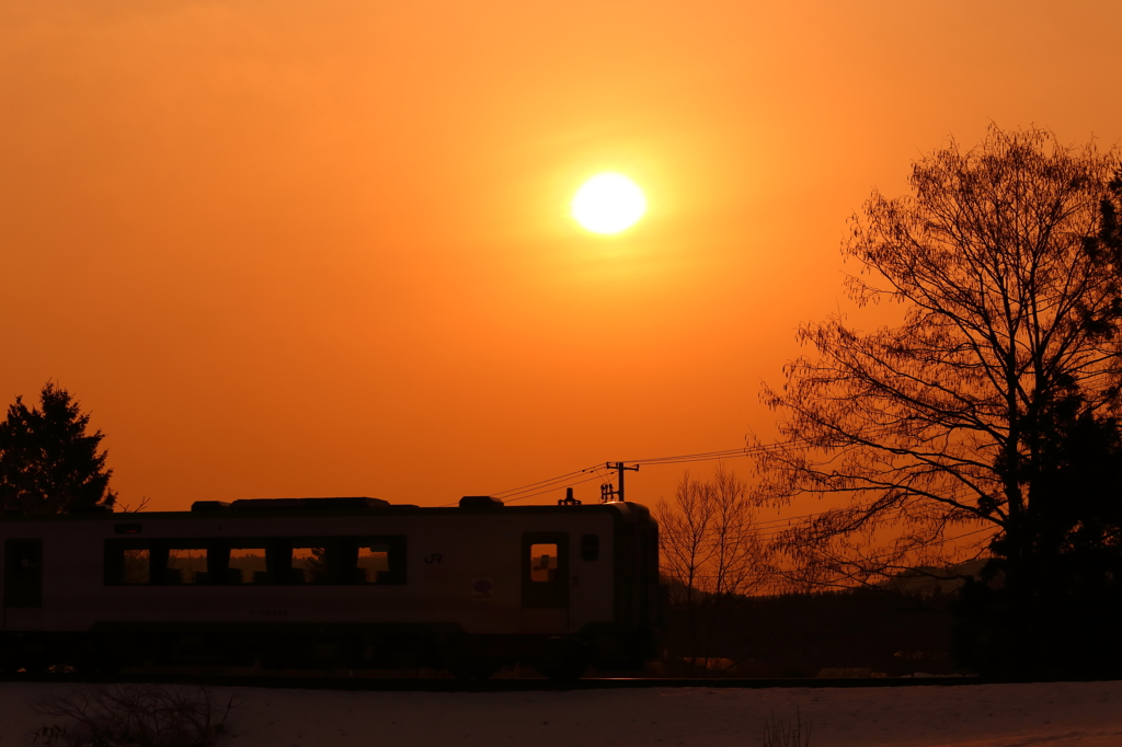 Morning glow train XXVI