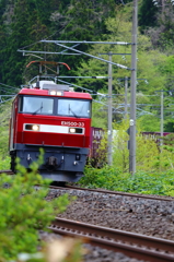 Spring Train XIX