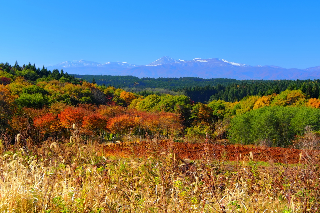 秋景色そして冬景色