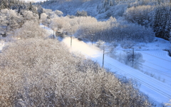 雪晴れの朝 III