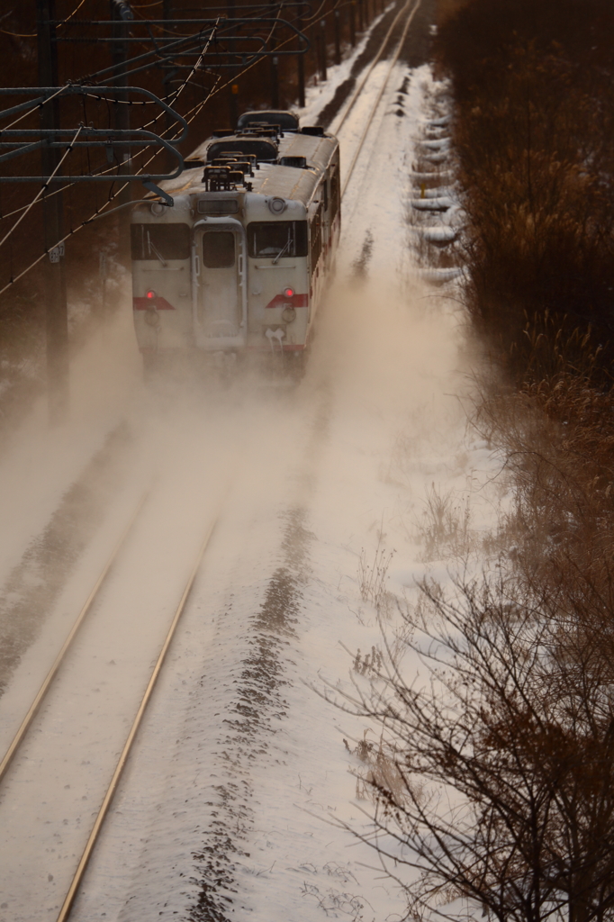 Snowfield Train V