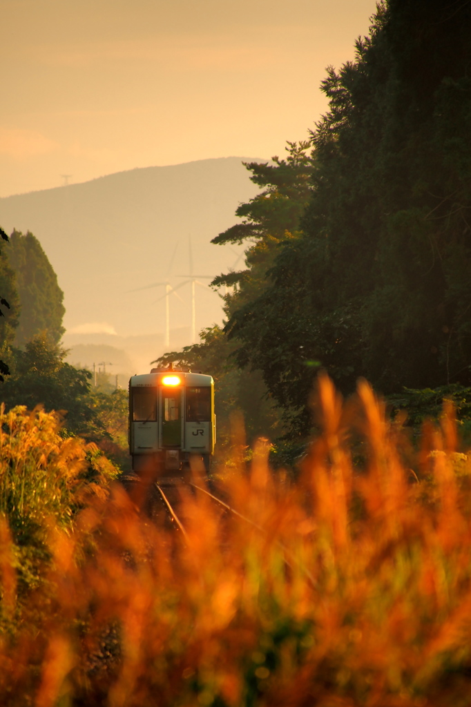 秋景色 -鉄道- VII