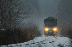 White train IV