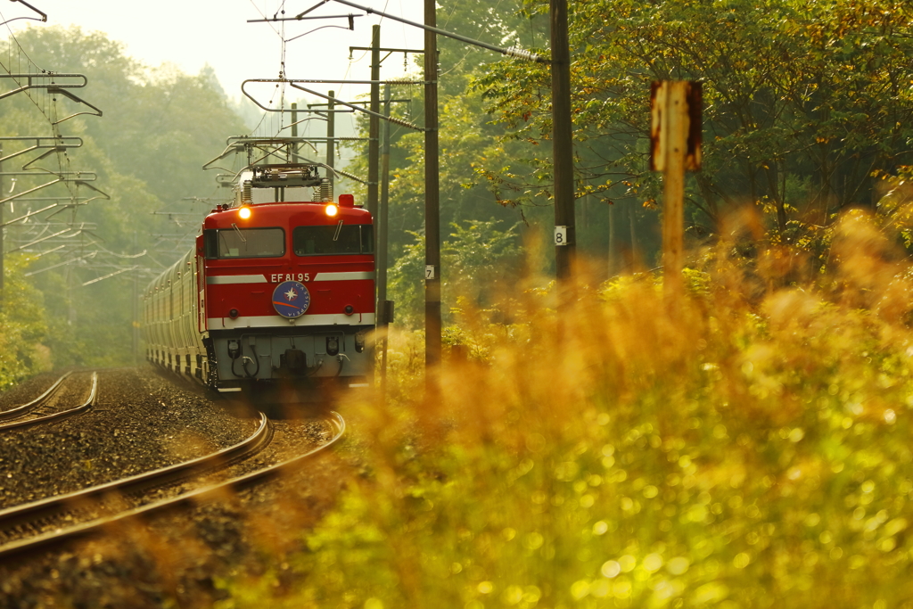 秋景色のカシオペア I