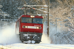 冬の朝 VI