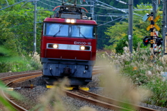 休日の鉄道 I