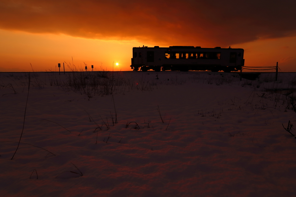 Sunset Train XVIII