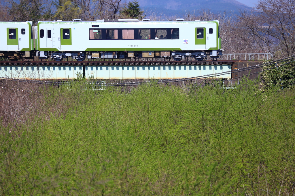 早春列車 IV