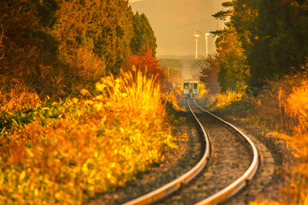 冬行列車 I