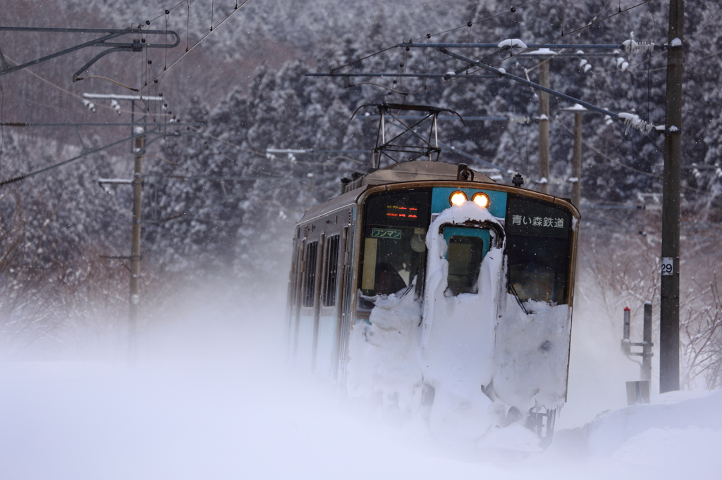White World Train II
