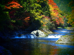 薬研渓流の秋 XVI