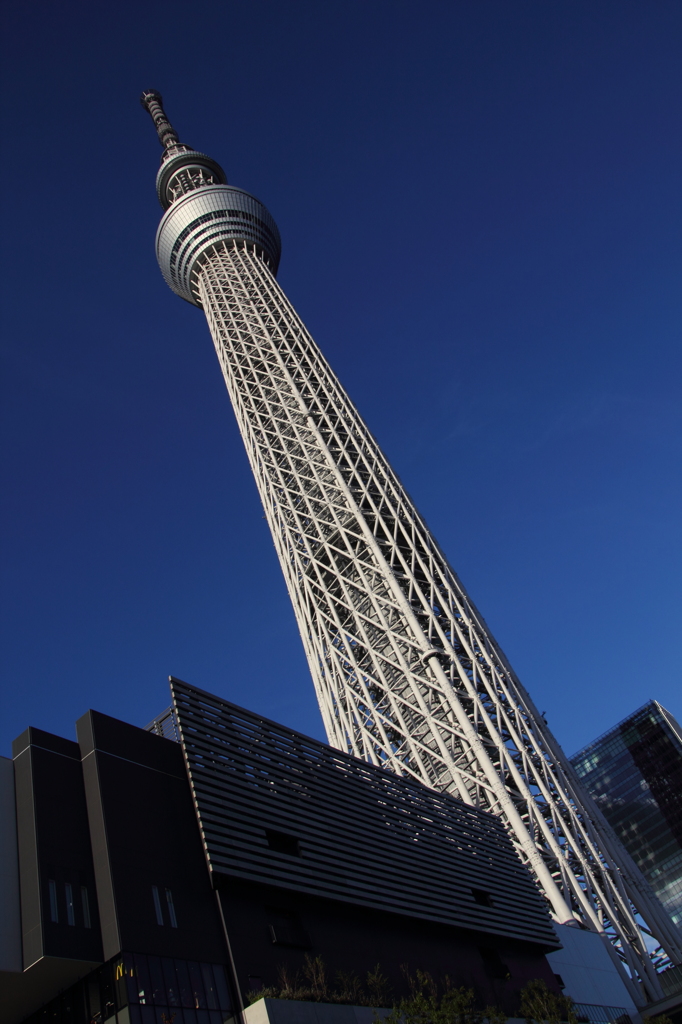 青空とスカイツリー
