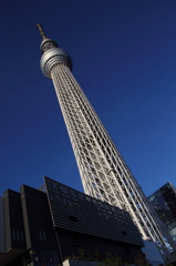 青空とスカイツリー