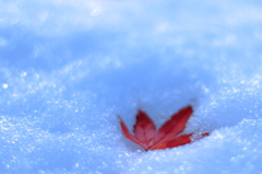水雪