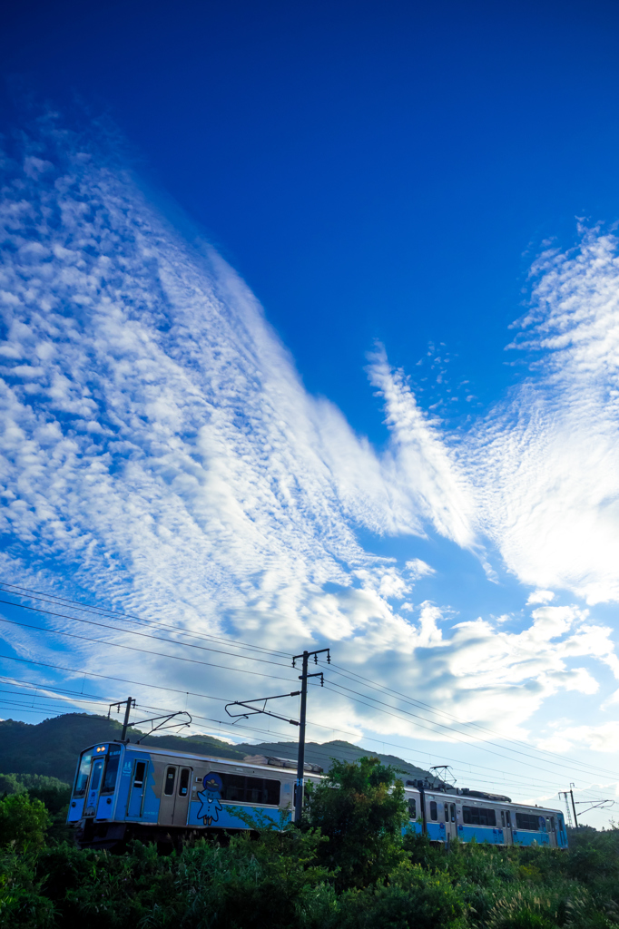 雨のち晴れ、一時雨そして・・・II