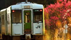 春の朝 II