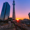 沈む夕陽 縦バージョン