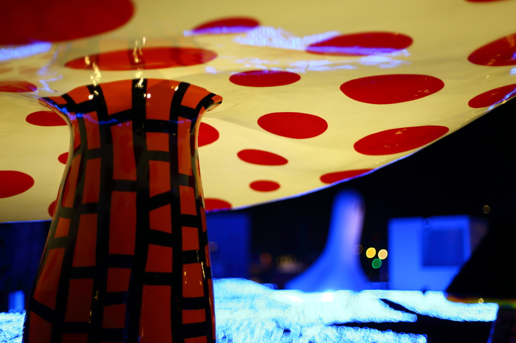 Polka dot mushroom