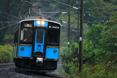 雨の休日 II