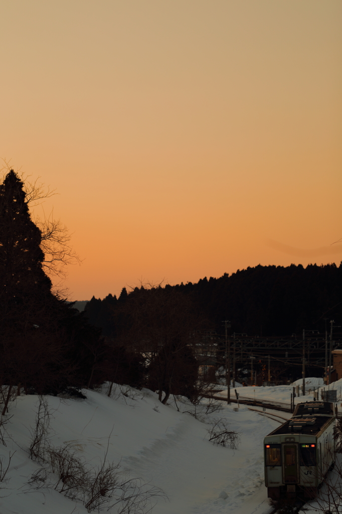 Morning glow train XIV