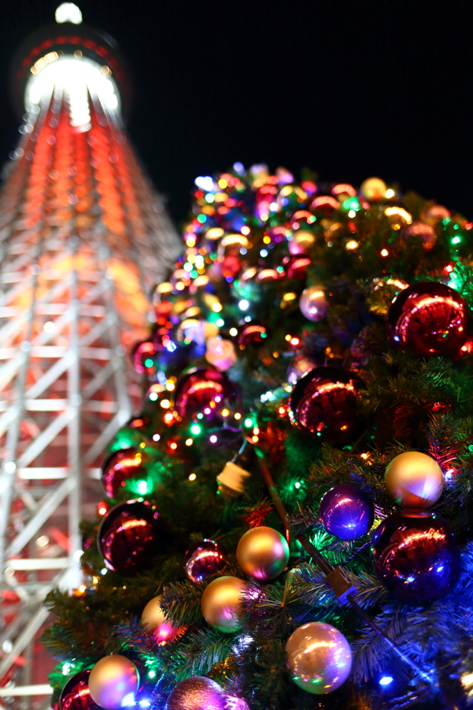 Skytree & X'mas tree