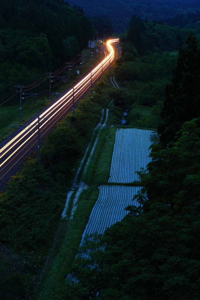 White Line