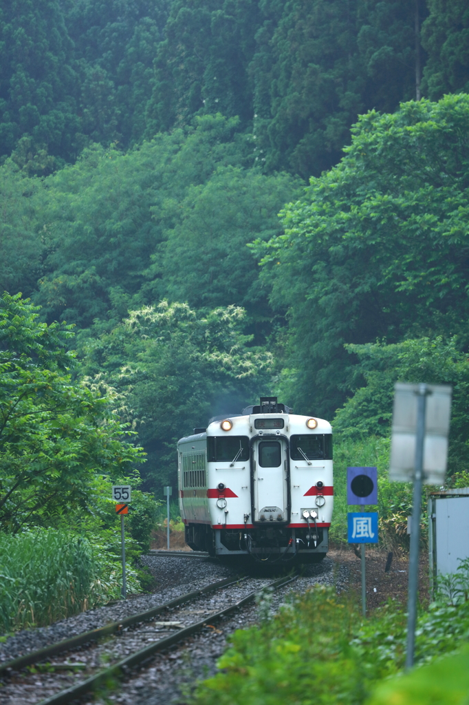 梅雨景色・キハ40