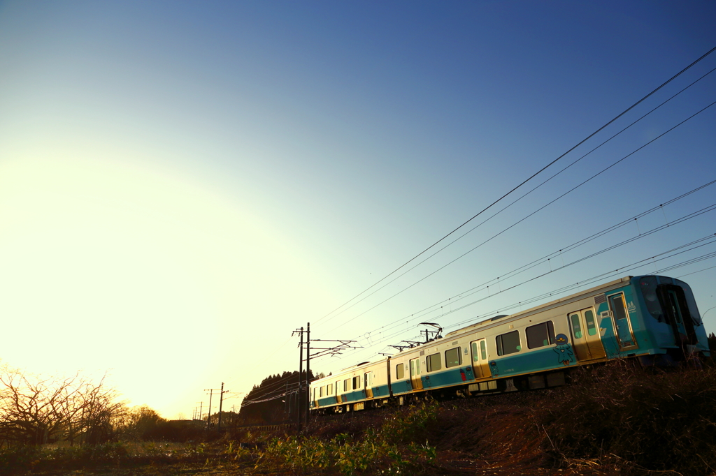 朝日を浴びて VIII