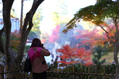 Temple Lady