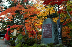 中野もみじ山 2014 XIII
