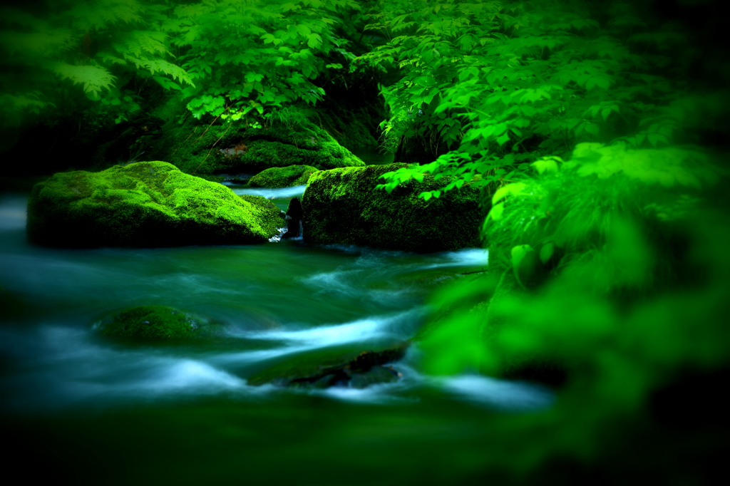 Oirase mysterious I