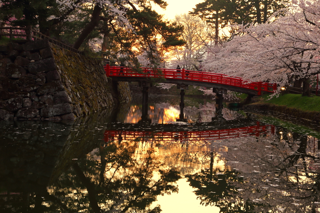 弘前・桜2015 II