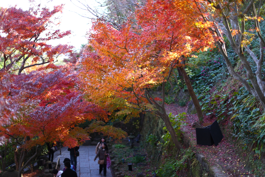 長谷寺の秋 06