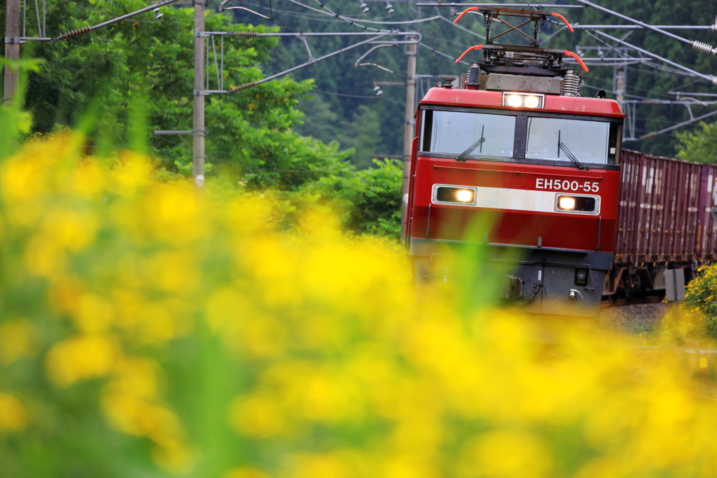 夏色列車 I