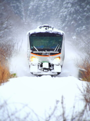 雪国列車 VII