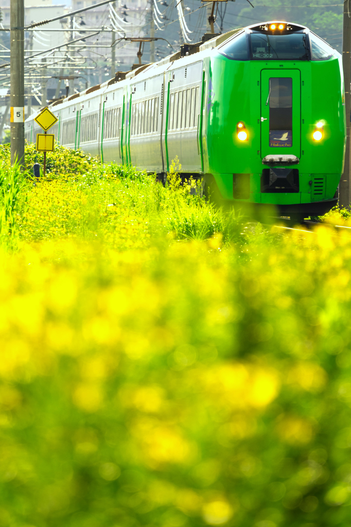 夏の鉄道風景 IV