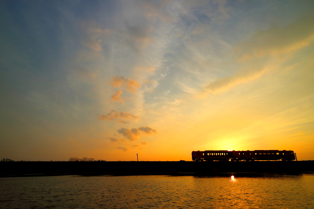 夕日を浴びて