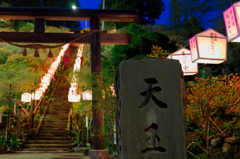 咲き始めの天王つつじまつり