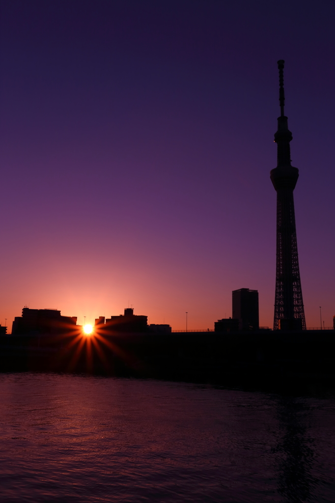 夜明けのツリー II